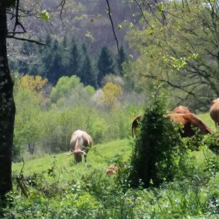 Bed and Breakfast Combecave Vabre-Tizac Exterior foto